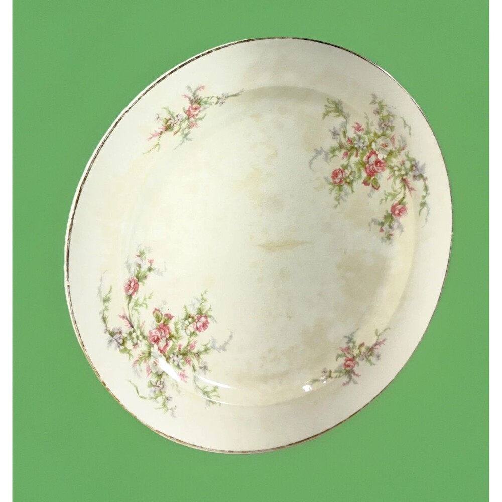 Taylor, Smith & Taylor Vintage Porcelain 10” Single Dinner Plate